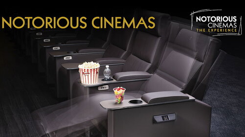 NOTORIOUS CINEMAS