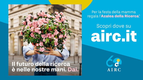 Per la Festa della Mamma, si può aiutare la ricerca con l’Azalea di AIRC
