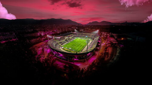 PALERMO FC