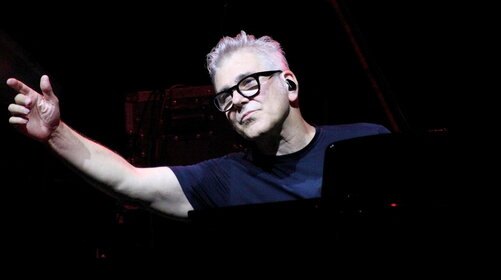 L'Elefante e la Farfalla